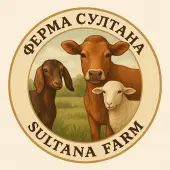 Султана