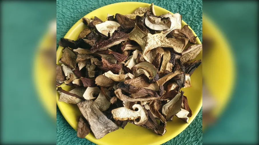 Гриби лісові сушені - 2