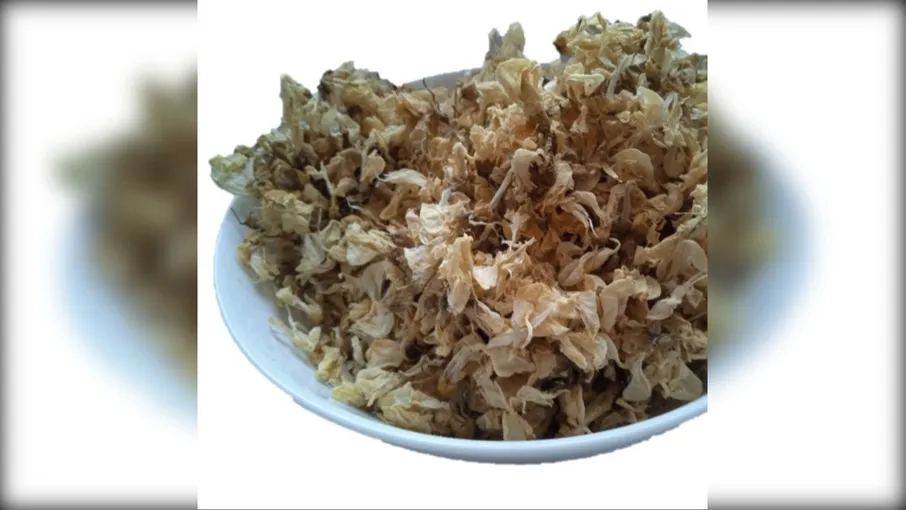 5 кг акація квіти робінія robinia pseudoacacia - 3