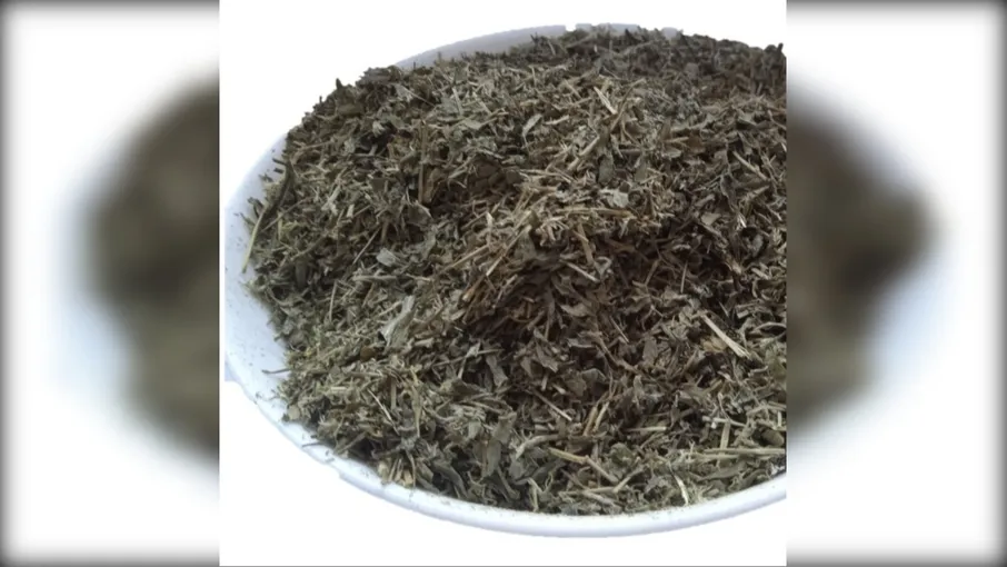 5 кг спориш трава шпориш polygonum aviculare - 3