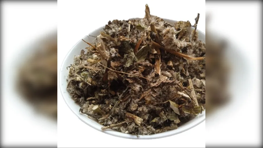 5 кг золотарник трава золотушник solidago - 3