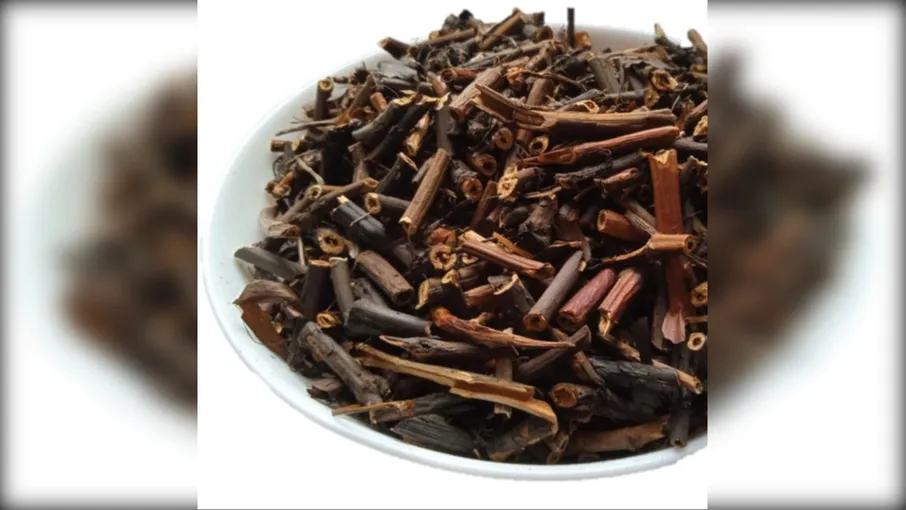 5 кг сабельник корінь вовче тіло potentilla - 3