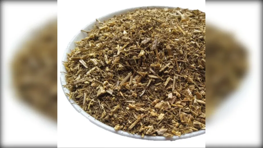 5 кг боліголов трава блекіт буглав conium - 4