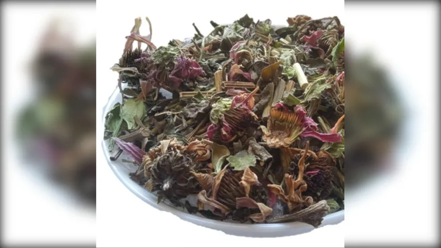 5 кг ехінaцея трава рудбекія echinacea purpurea - 4