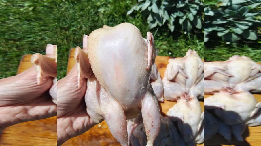 Мʼясо перепелів  - 5