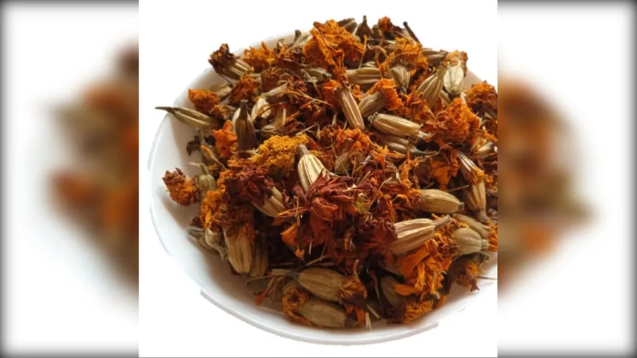 5 кг чорнобривці квіти бархатці tagetes patula - 3