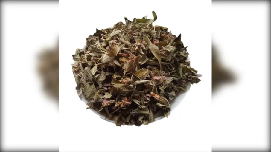 5 кг залізняк колючий трава зопник phlomis - 4