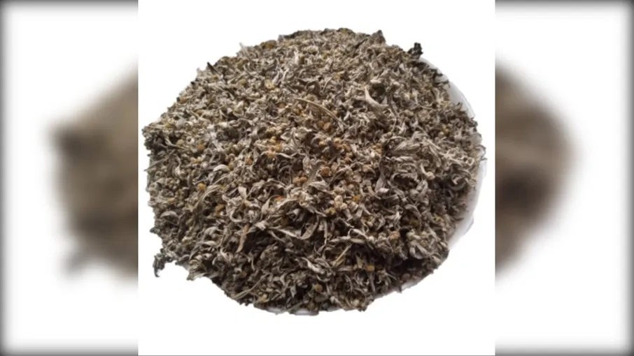 5 кг полин гіркий трава віниччя artemisia - 3