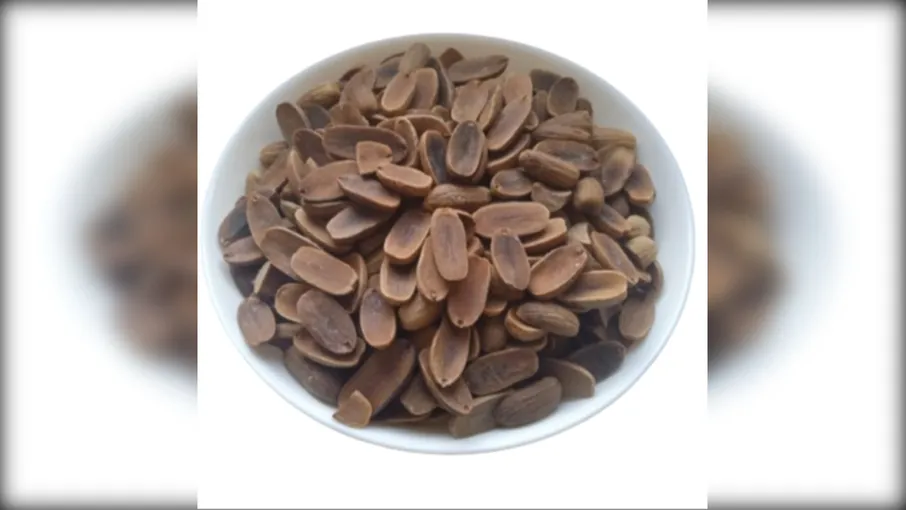 5 кг жолуді quercus robur - 3