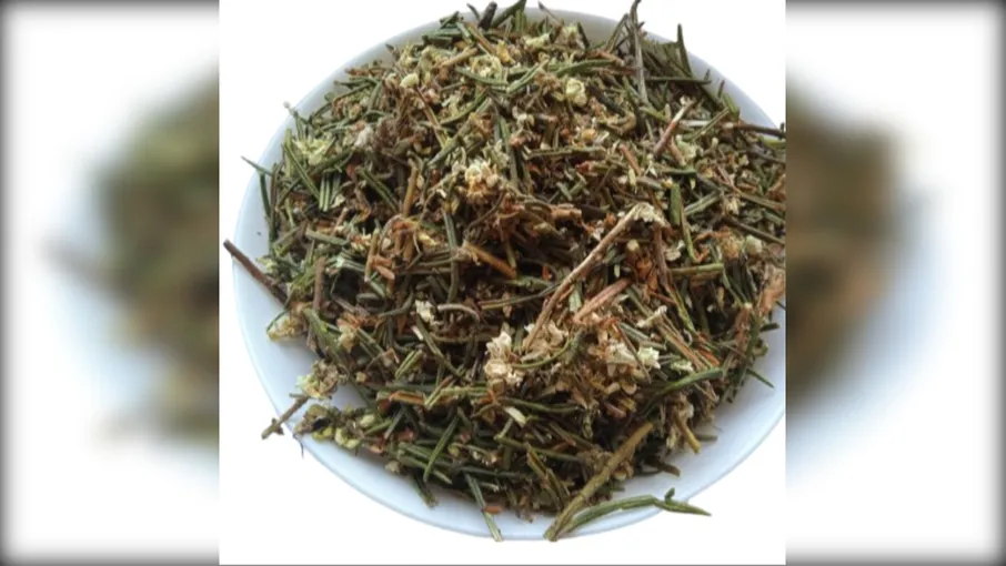 5 кг багно болотяне трава богульник rhododendron - 3