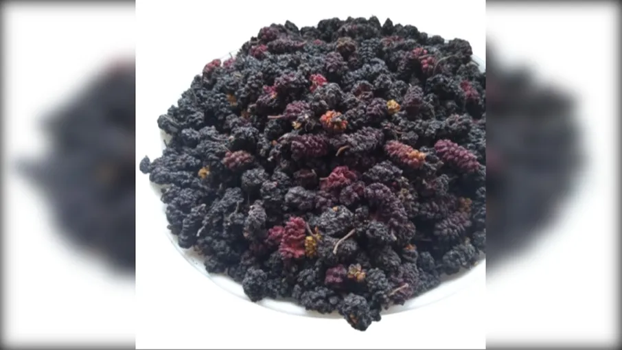 5 кг шовковиця плоди morus nigra - 3