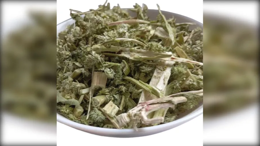 5 кг амарант трава щириця amaranthus caudatus - 2