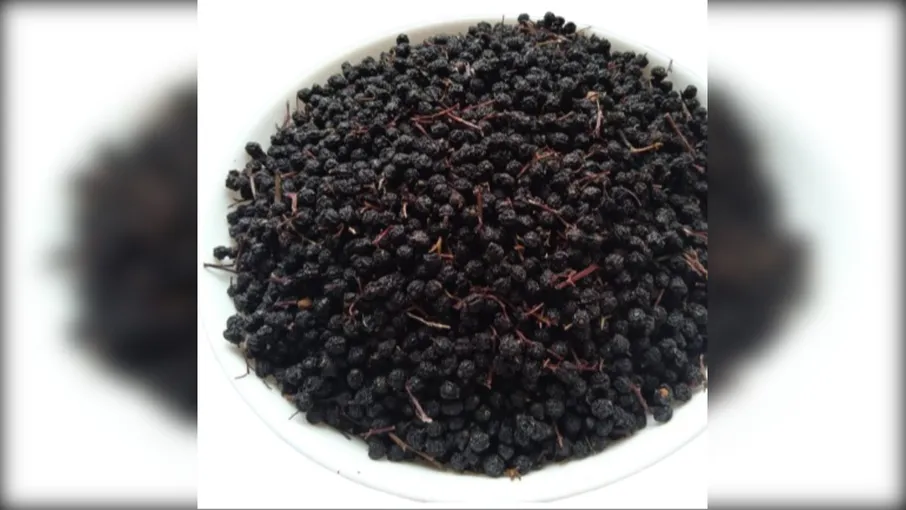 5 кг бузина травяниста плоди sambucus ebulus - 3