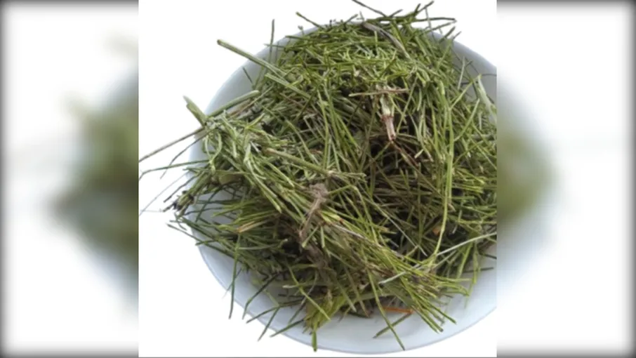 5 кг хвощ польовий трава хвойка equisetum - 3