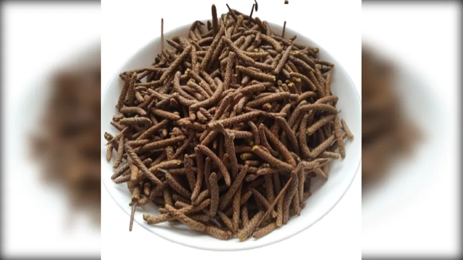 5 кг береза сережки betula pendula - 3