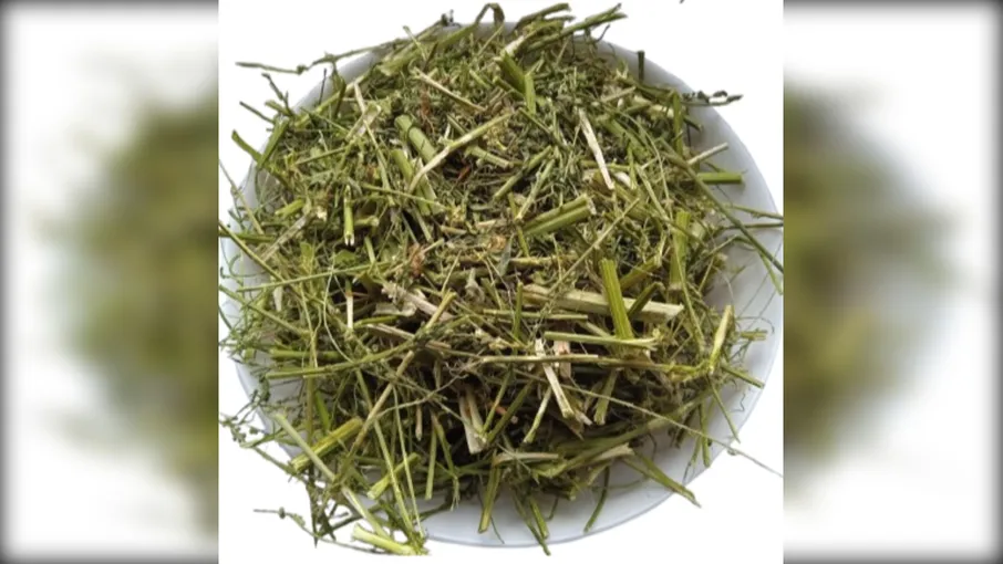 5 кг буркун білий трава сушена melilotus albus - 3