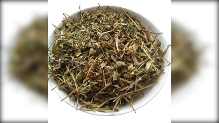 5 кг галега трава козлятник galega officinalis - 3