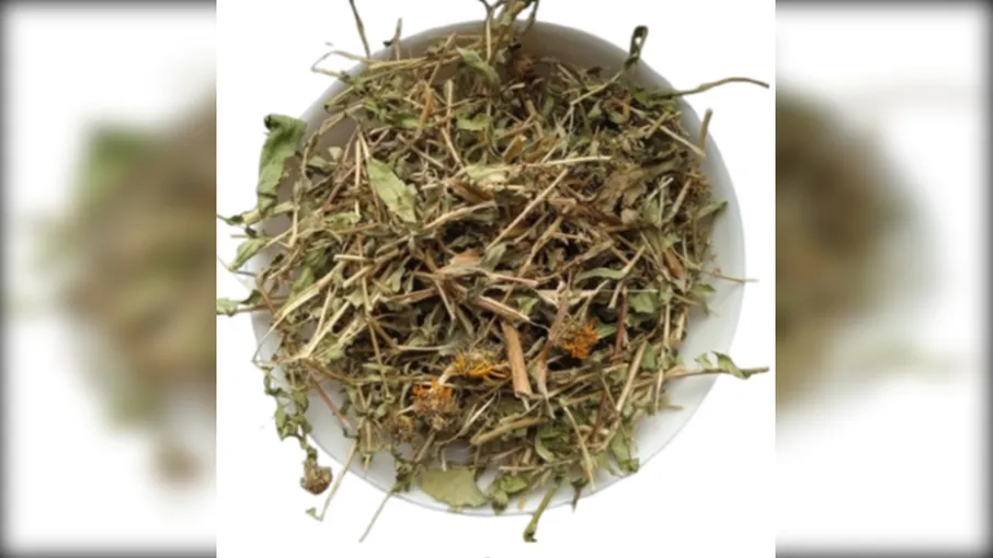 5 кг гринделія трава grindelia squarrosa - 3