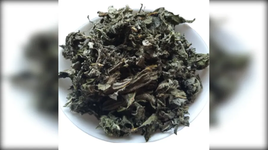 5 кг лопух листя репяшник репях arctium lappa - 3