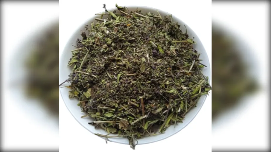 5 кг Материнка трава Орегано Душиця Origanum - 3