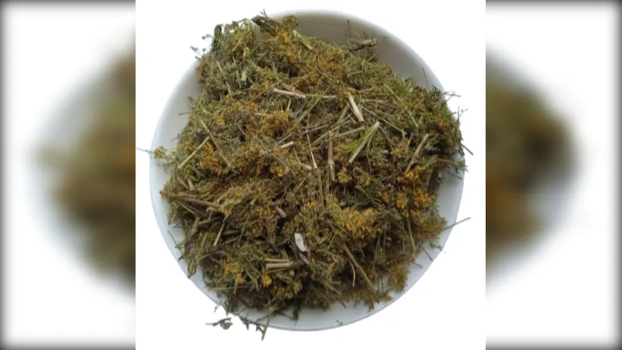 5 кг підмаренник трава galium verum - 3