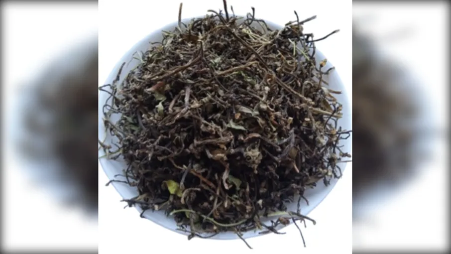 5 кг портулак городній трава portulaca oleracea - 3
