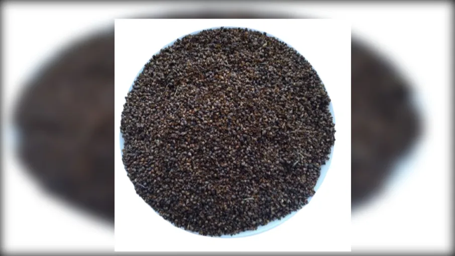 5 кг псиліум подорожник насіння Psyllium - 2