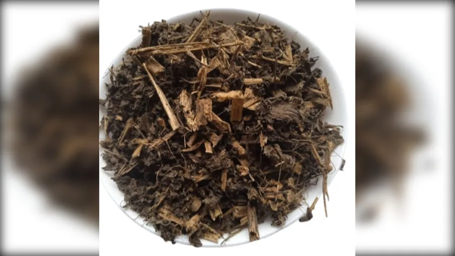 5 кг шавлія мускатна трава salvia sclarea - 3