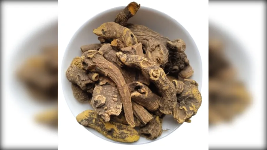 5 кг щавель кінський корінь rumex confertus - 2