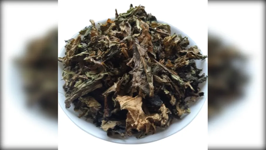 5 кг щавель кінський листя rumex confertus - 3