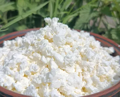 Сир кисломолочний коров'ячий-harvy.market