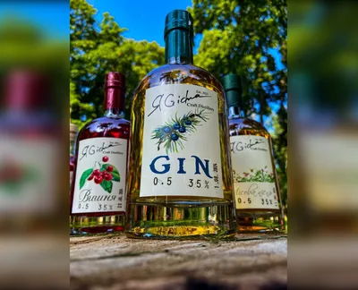 GIN цитрус 35%-harvy.market