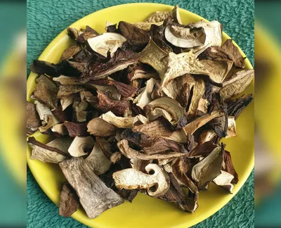 Гриби лісові сушені-harvy.market