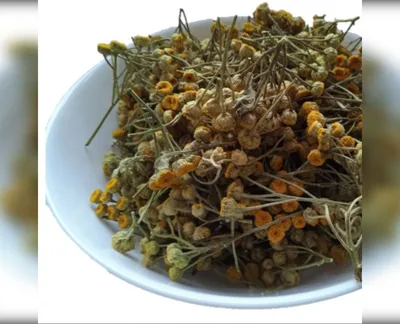 5 кг пижма квіти приворотень пижмо tanacetum-harvy.market