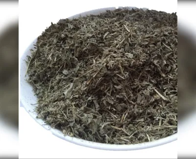 5 кг спориш трава шпориш polygonum aviculare-harvy.market