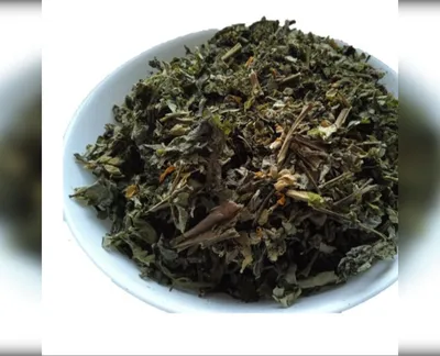 5 кг чистотіл трава бородавник chelidonium-harvy.market