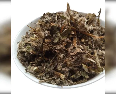 5 кг золотарник трава золотушник solidago-harvy.market