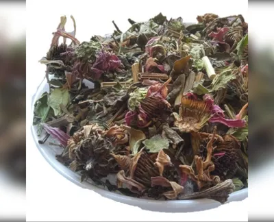 5 кг ехінaцея трава рудбекія echinacea purpurea-harvy.market