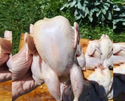 Мʼясо перепелів -harvy.market