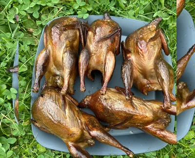 Копчені перепілки-harvy.market