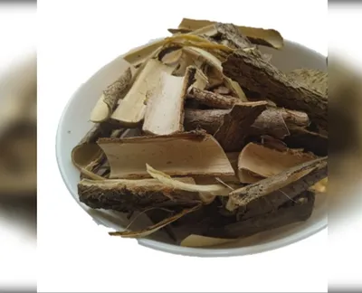 5 кг акація кора робінія robinia pseudoacacia-harvy.market