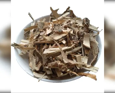 5 кг верба кора верболіз salix alba-harvy.market