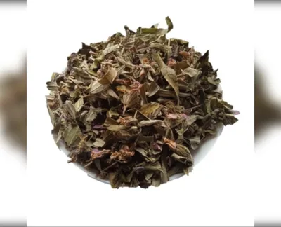 5 кг залізняк колючий трава зопник phlomis-harvy.market