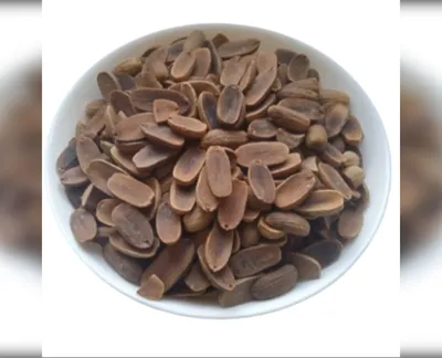 5 кг жолуді quercus robur-harvy.market