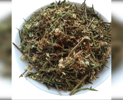5 кг багно болотяне трава богульник rhododendron-harvy.market