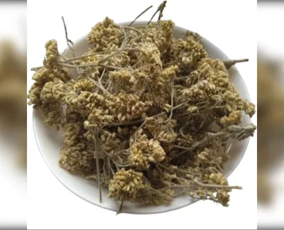 5 кг деревій цвіт тисячолистник achillea millefolium-harvy.market