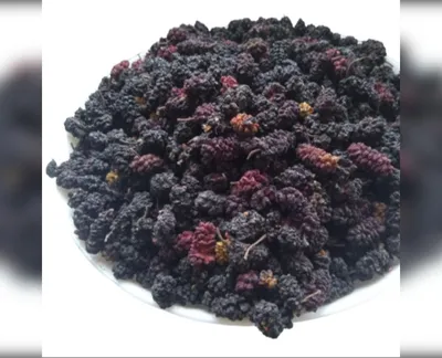 5 кг шовковиця плоди morus nigra-harvy.market