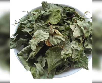 5 кг липа листя tilia-harvy.market