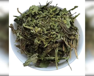 5 кг соняшник листя helianthus annuus-harvy.market