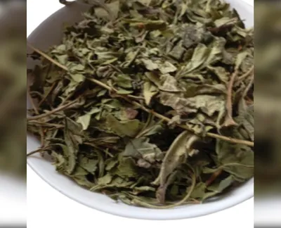 5 кг топінамбур листя соняшник-harvy.market